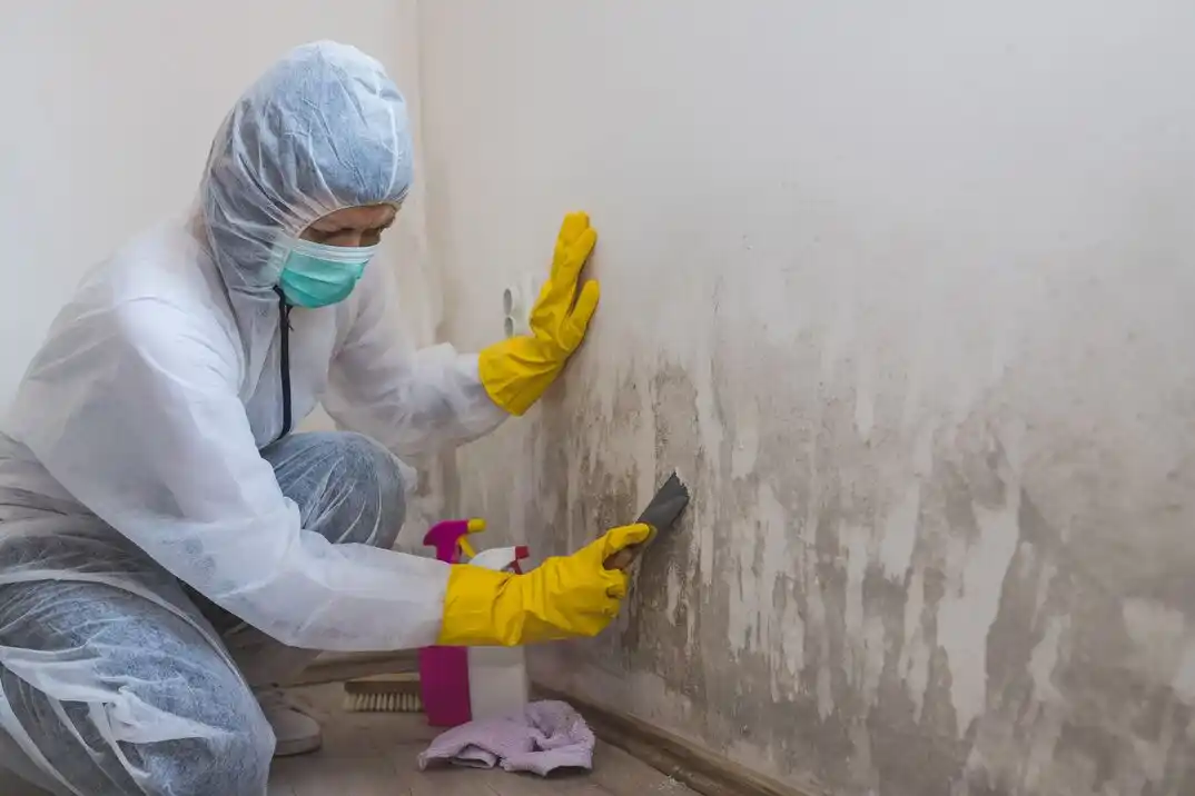water damage restoration service Smithfield Acres